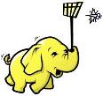 Much Hadoop About Nothing